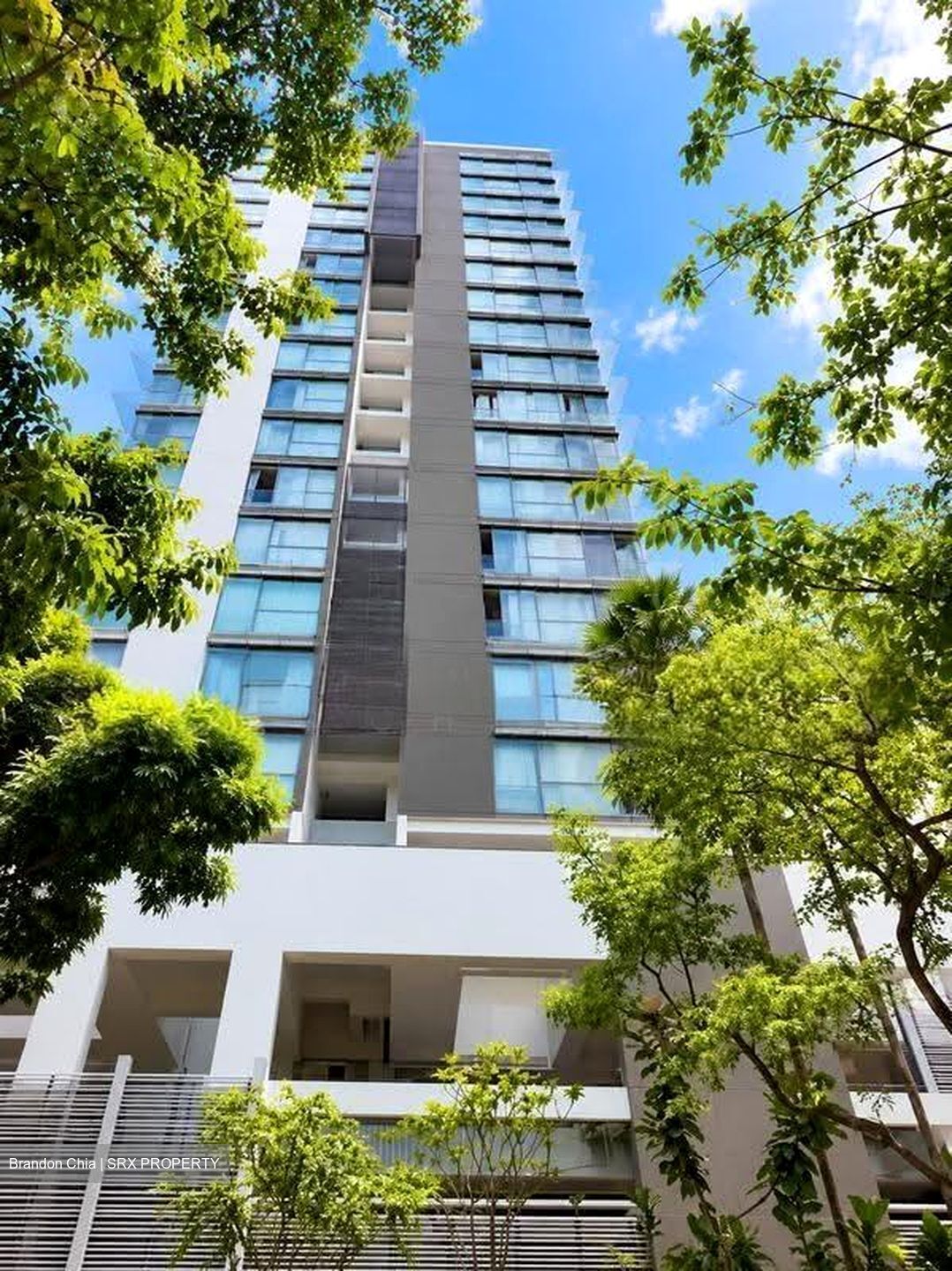 Studio 3 (D10), Apartment #631996741